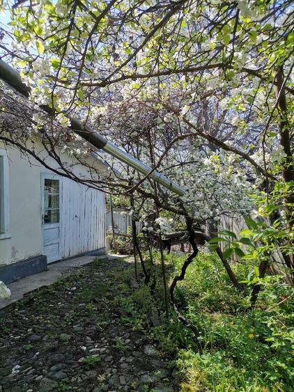 Casă cu 3 camere în Central
