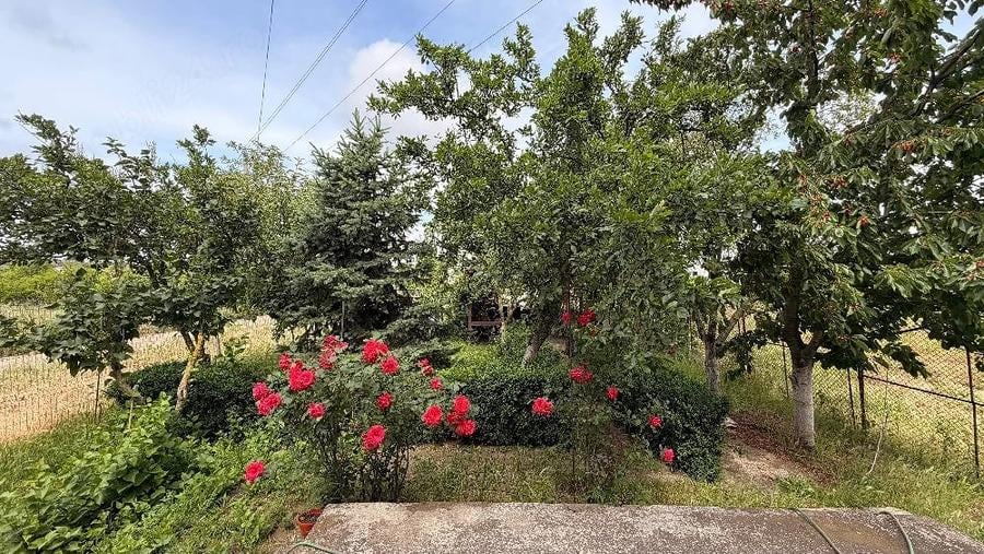 Casă cu 5 camere cu Teren 500 Mp în Pantelimon