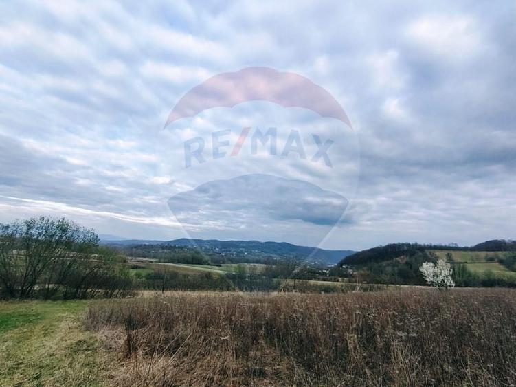 Teren cu panorama superba in Berchezoaia + bonus rulota - 7