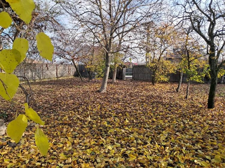 Teren de 3068 mp, în Priseaca