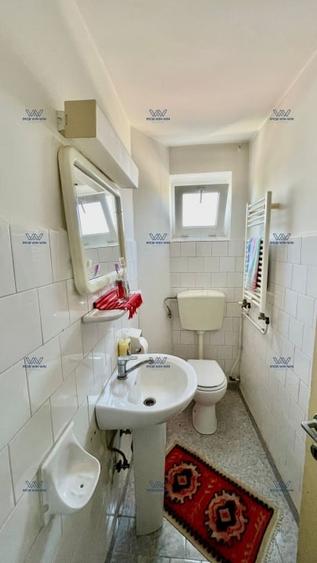 Proprietate Exceptionala cu Potential Dublu in Valea Ursului, Arges - 16