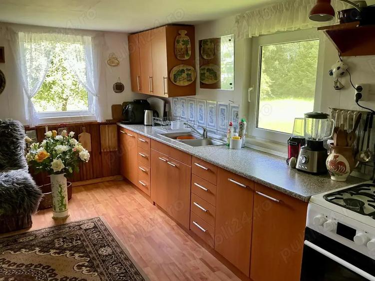 Casa de vacanta de vanzare - 9