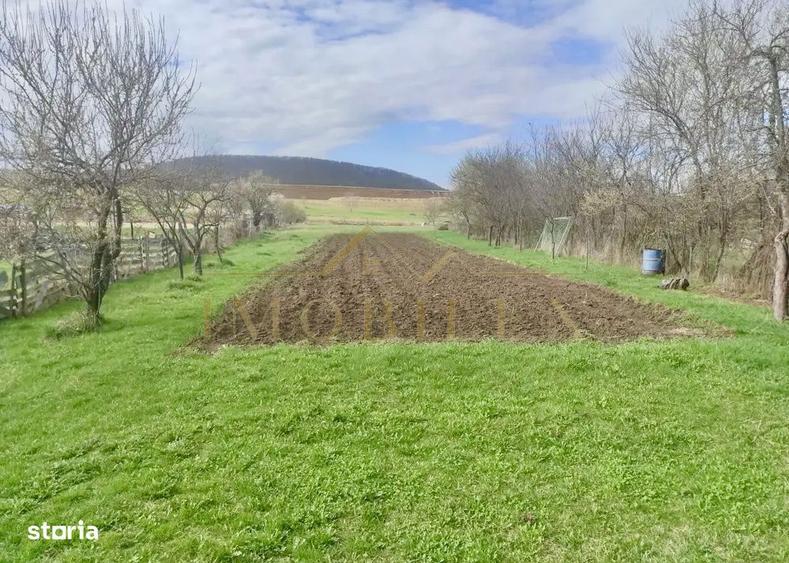 Casa individuala, teren 1540 mp, zona Gilau - 4