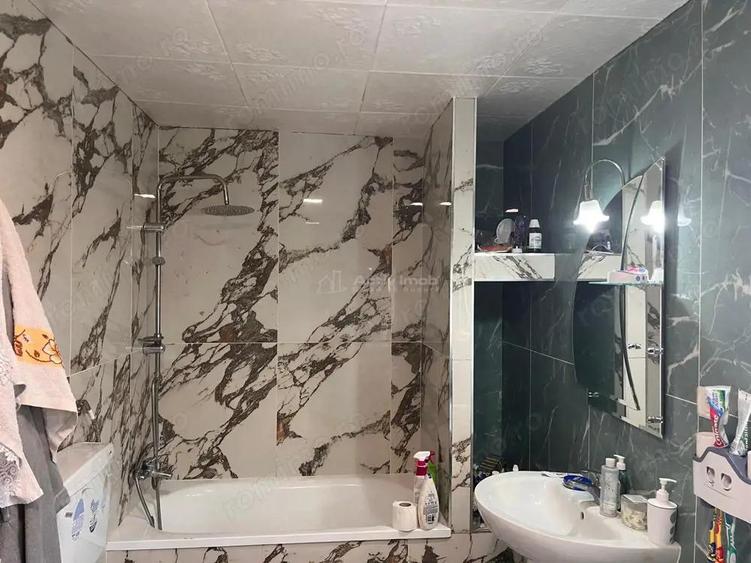 Sacu, Casa 426 Mp. Construiti, 6.500 Mp. Teren - 1