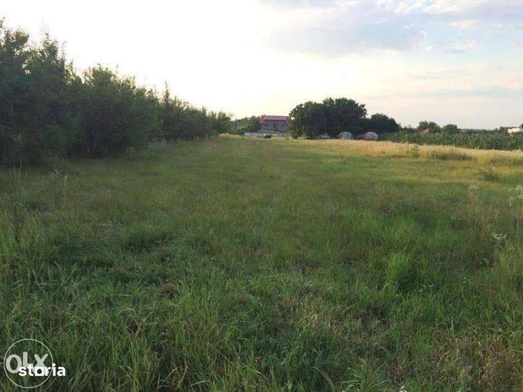 Teren Ghermanesti-Ciofliceni, Snagov, Str. Stefanita Voda, negociabil - 1