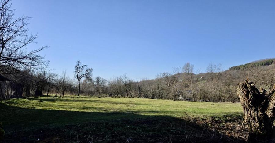 Teren 4.549 mp intravilan, la doar 8 minute de Valenii de M - 4