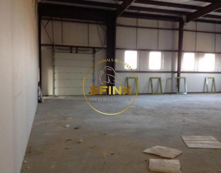 Hala si birouri zona Mogosoaia sos Odai - 4