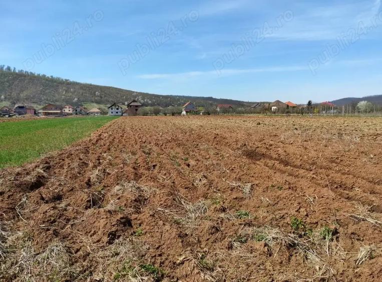 casa cu teren, casa, teren, pamant, apartament, garsoniera - 3