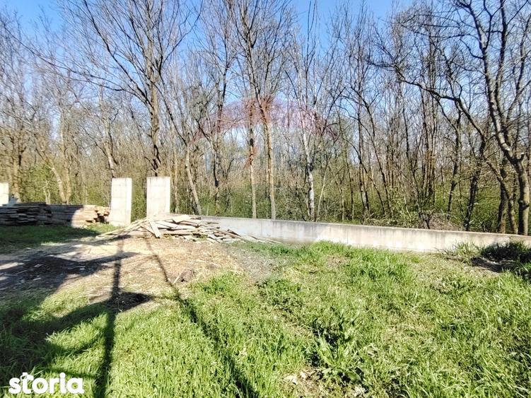 Apartament cu 3 camere CRANGUL PETRESTI. - 1