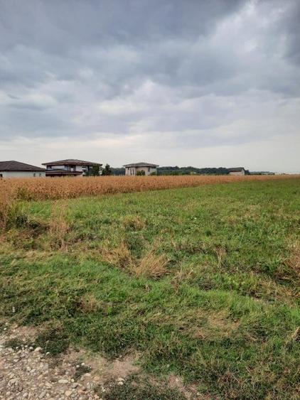 VANZARE TEREN COM. DOMNESTI- SAT. TEGHES - 3