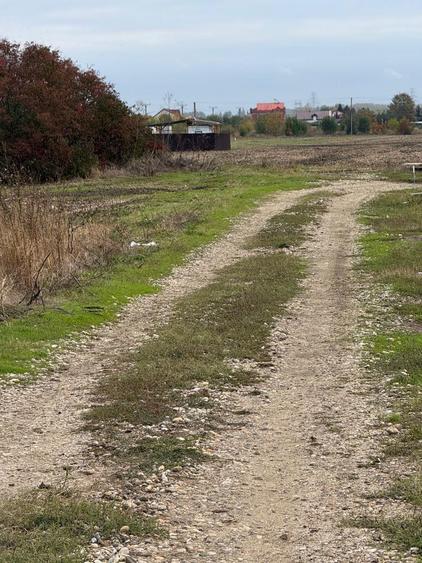 Loturi in rate Com. Cornetu-Jud. Ilfov - 3