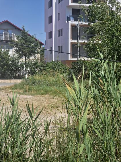 Mamaia Nord- Teren intravilan 500mp cu deschidere 17ml la Bulevardul Mamaia Nord - 6