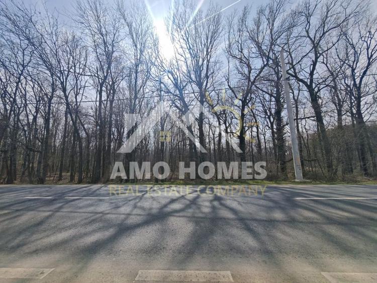 OPORTUNITATE -Teren de Vis la Marginea Pădurii – 5000 mp în Ciorogârla - 6