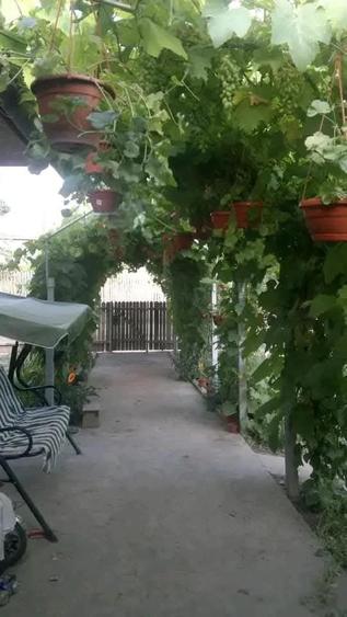 Vand casa Cataloi - 5