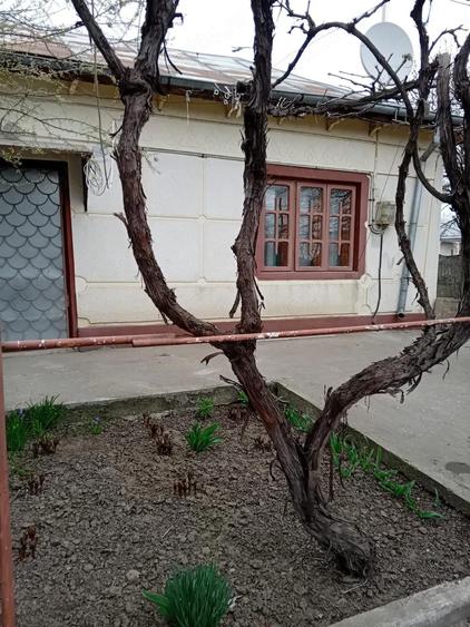 Casa de vanzare - 5