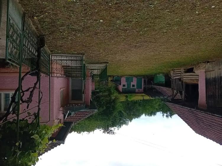 vand casa - 1