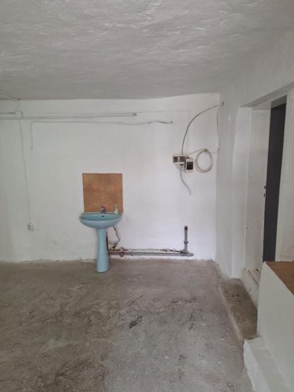 Inchiriez spatiu in Turnisor - 3