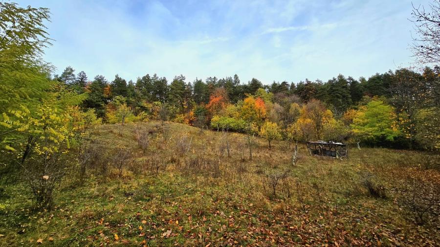 Vand Teren Corbeni, Arges zona Cetatea Poenari, Transfagarasan - 7