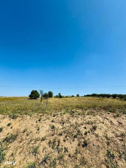 Teren Intravilan Baile Felix cu acces din E79 - 1