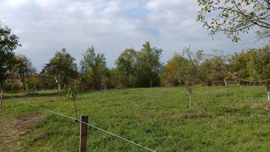 Loc de casa cu livada ?i corp de cladire - 5