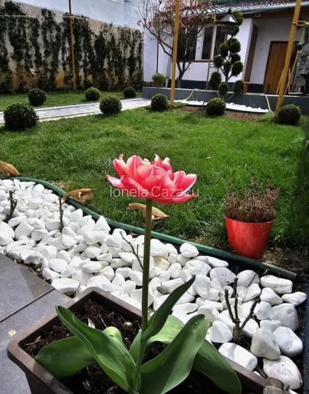 Casa individuala, zona Trei Stejari - strada linistita, curte, garaj, 4 camere Casa individuala, zona Trei Stejari - strada linistita, curte, garaj, 4 camere