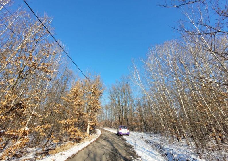 Teren intravilan, situat in Scoarta, sat Pistestii din Deal - 3