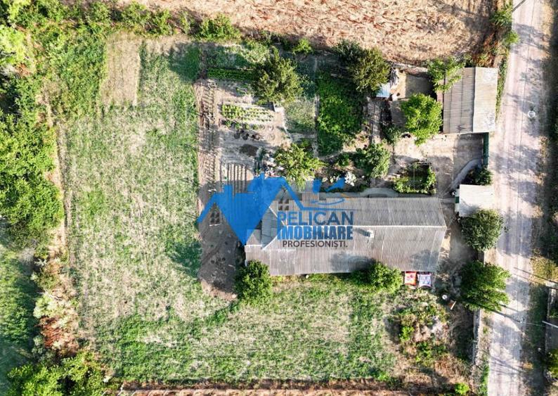 Casa cu teren in Salcioara (Jurilovca) - 2600mp - 7