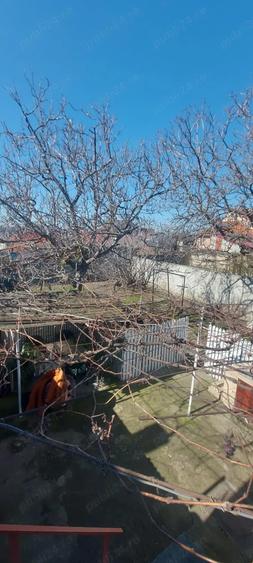 Stadion - Delfinariu - Casa - 1