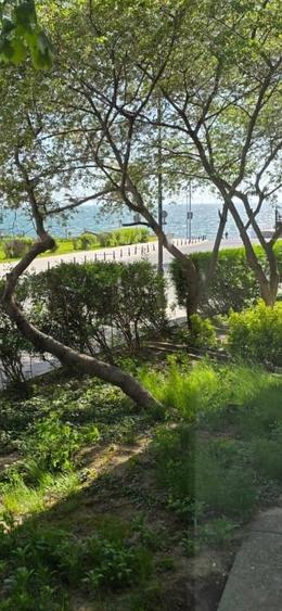 Apartament parter pregatit pt birou faleza port Tomis vedere la mare - 1