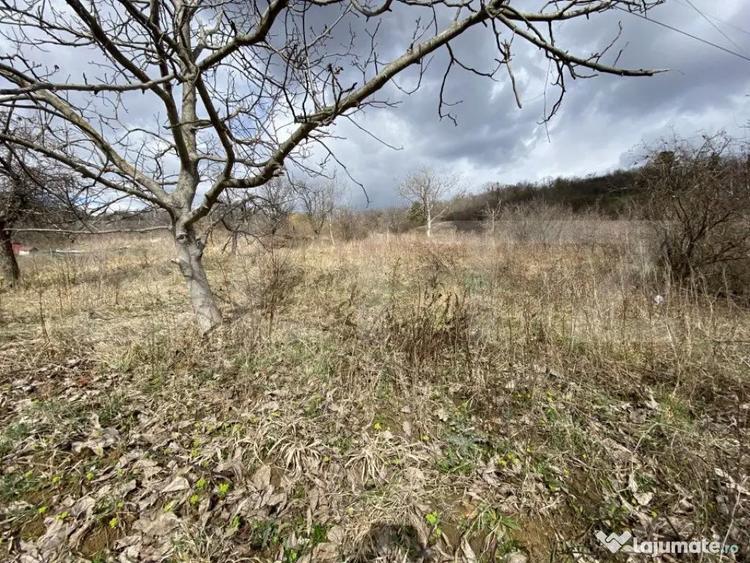 Teren intravilan in suprafata de 2000 mp, zona Episcopiei - 1
