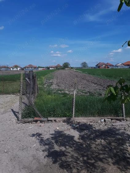 De vanzare casa la tara - 8