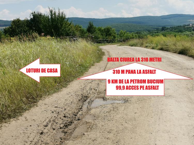BUCIUM , 6 KM DIN IASI , teren perfect plan , 99.999 % acces pe asfalt - 6