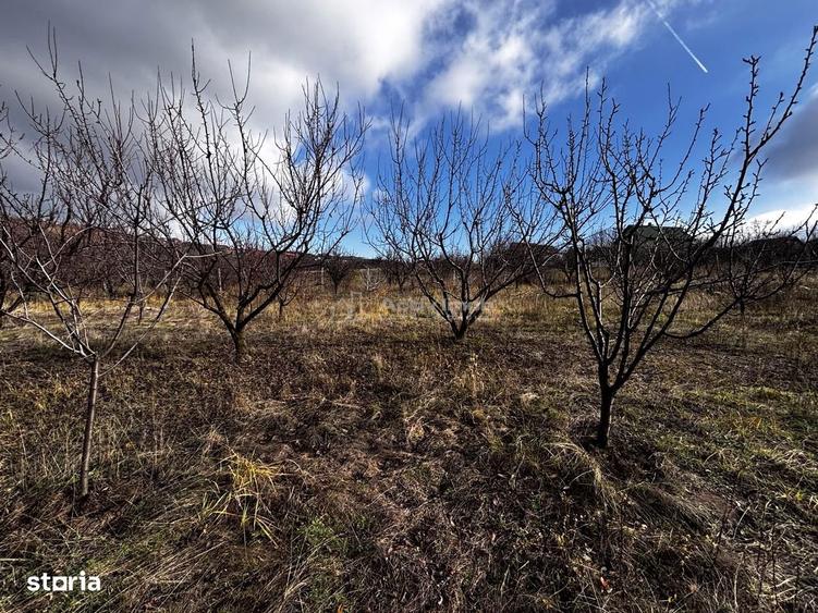 Teren Intravilan Str Livezilor - 6