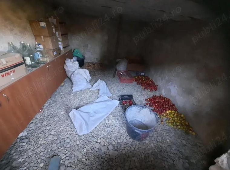 De vanzare casa la padure - 9