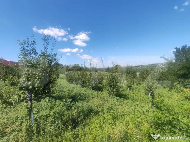 Casu?a tip foi?or, 30 mp, pe un teren de 3.000 mp, veder - 8