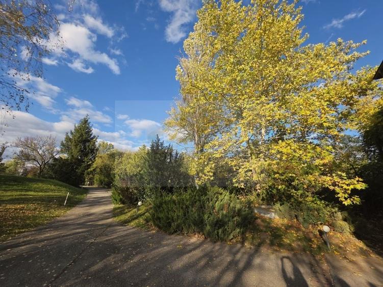 Reședință exclusivistă cu deschidere la Lacul Scroviștea - 21