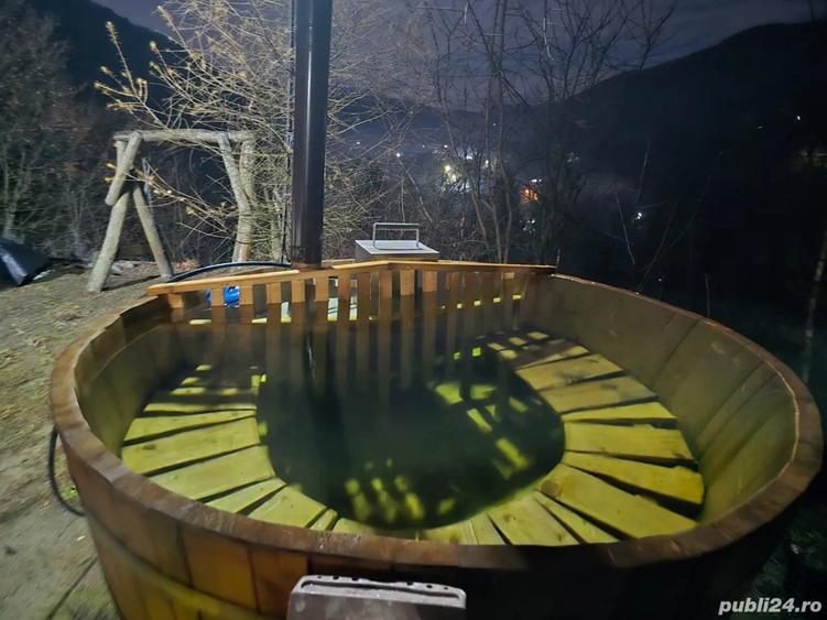 Vand cabana la munte - 9