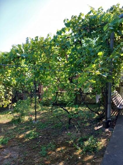 Casa cu garaj la 15 minute de centru, Str. Tudor Vladimirescu, Hunedoara - 10