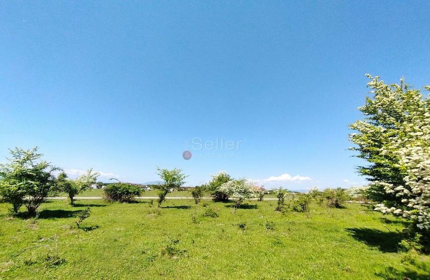 Teren Intravilan - 6