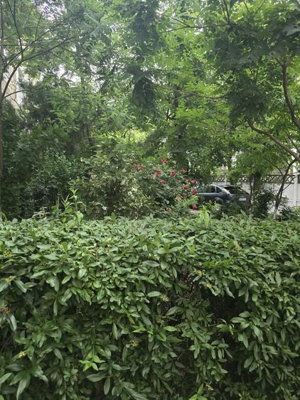 Persoana fizica,Inchriez apartament cu 2 camere Micro 19 - 4