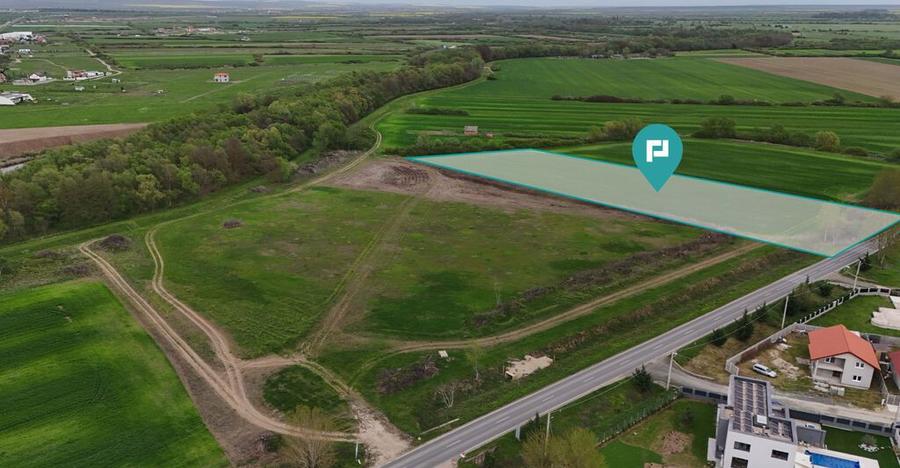 Teren intravilan 5800 mp in Remetea Mare - 6