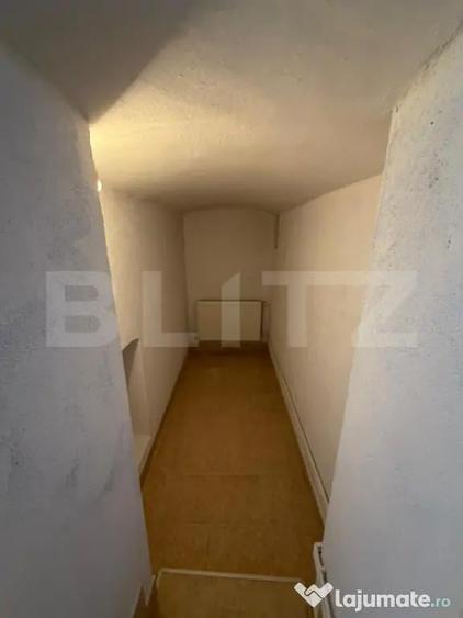 Spatiu comercial de inchiriat, 40 mp, zona Semicentrala - 4
