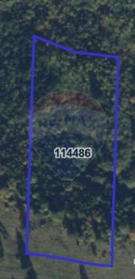 Teren agricol extravilan de 23000 mp, în Glăjărie