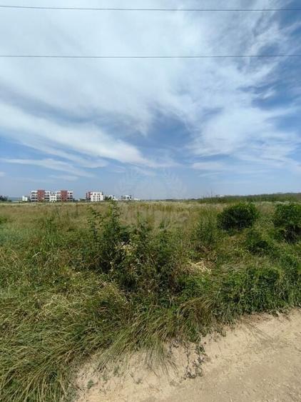 TEREN CARTIER ALBERT//INTRAVILAN - 11