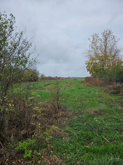 Butimanu (Decindea) Jud. Dambovita, teren intravilan si extravilan - 2