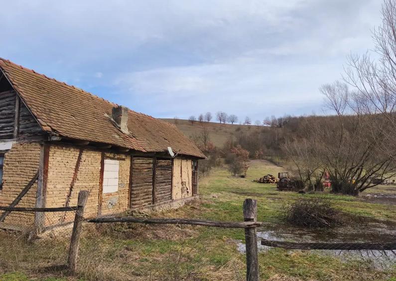 Teren in Juli?a, zona centrala - 4