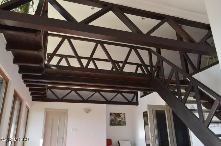 Topoloveni - Conacul Ion Mihalache, Domeniu pe 5 Hectare! - 35