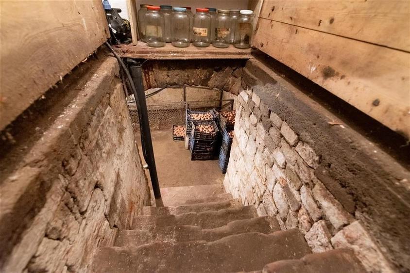 Teren mare cu 2 case si front la 2 strazi in Tamaseu - 19