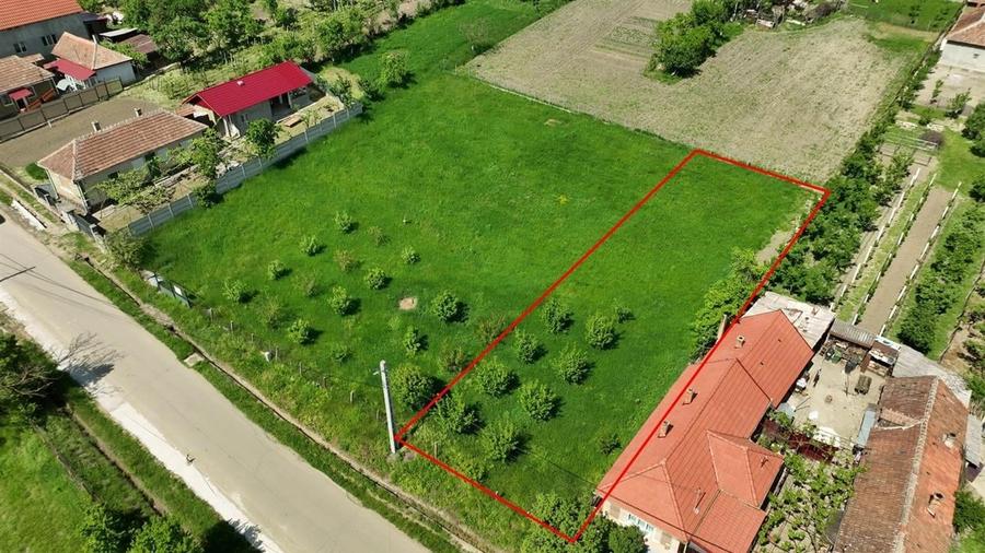 RECO . TEREN INTRAVILAN BETFIA - 6