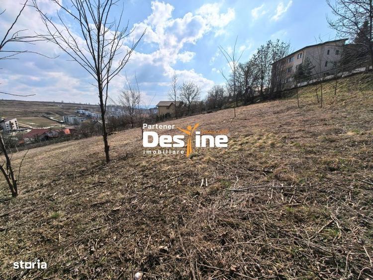 3000 mp teren intravilan, parcelat in 3 bucati Valea Lupului - 5
